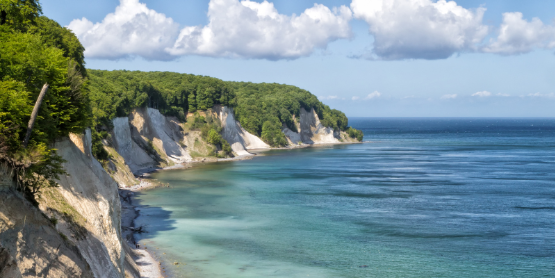 Kreidefelsen auf Rügen Wandern im Nationalpark Jasmund