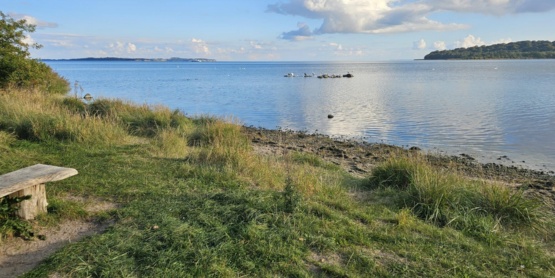 Wanderung durch die Goor mit Ausblick auf die Insel Vilm Einer der schönsten Wanderwege im Südosten der Insel Rügen von Lauterbach nach Groß Stresow